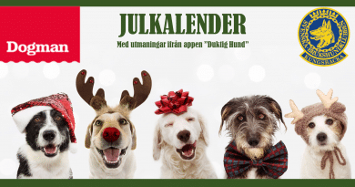 Julkalender